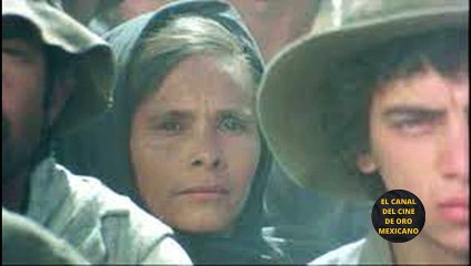 ⭐️BREVE Biografía ALICIA DEL LAGO⭐️