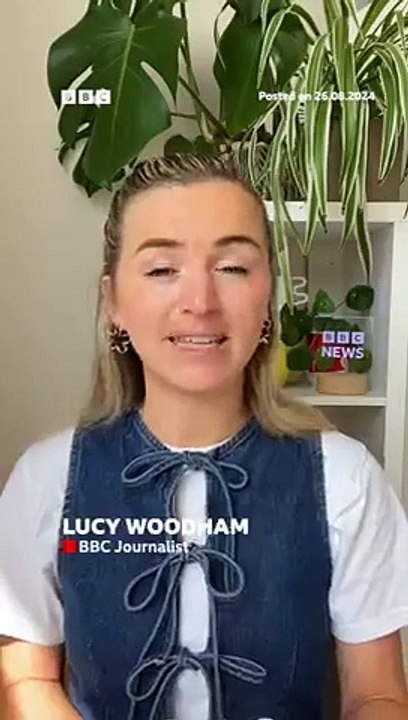 'Sexually frustrated' dolphin blamed for attacks in Japan. #Japan #Dolphin #BBCNews