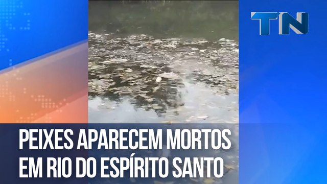 Peixes aparecem mortos em rio do Espírito Santo