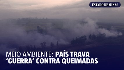Meio ambiente: país trava 'guerra' contra queimadas