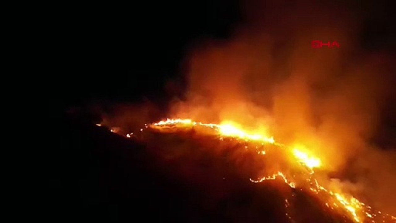 Sivas’ta örtü yangını ormana sıçradı