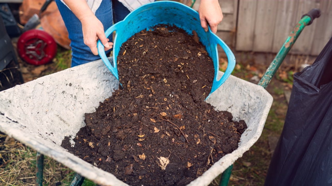 6 Soil Amendments That Will Help You Grow Healthier Plants