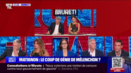"Je pense vraiment que Jean-Luc Mélenchon a une vision autocratique de la manière d'exercer le pouvoir", assure Alexandar Nikolic (RN)