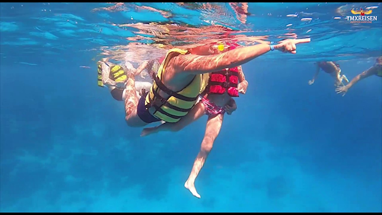 Schnrcheln mit Delphine bei www.tmxreisen.de