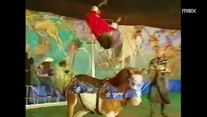 'Chimp Crazy' - Tráiler oficial - MAX