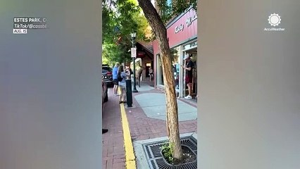 Elks take casual stroll through Colorado town