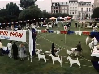 S05E15 - Der Hund der zuviel wusste