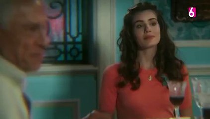 36. Amor Perfecto (Amor Perfeito), en español