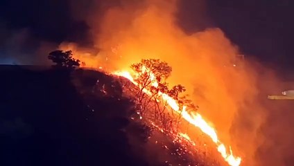 Incêndio em vegetação na Raja Gabaglia mobiliza bombeiros