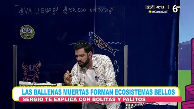 Las ballenas muertas forman bellos ecosistemas