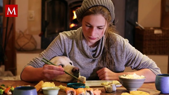 Estos alimentos podrían intoxicar a tu mascota; te contamos cuáles no son seguros para ellos