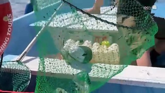 Primer torneo de pesca de basura en Puerto Vallarta y Bahía de Banderas