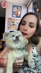 Yosstop está en la cárcel, ¿la están extorsionando?