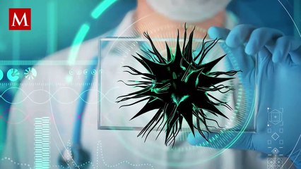 Alerta en América Latina: Brote de oropouche causa preocupación en la región