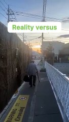 Uncover the Best Local Eats and Attractions in| Foodie Travel Guide