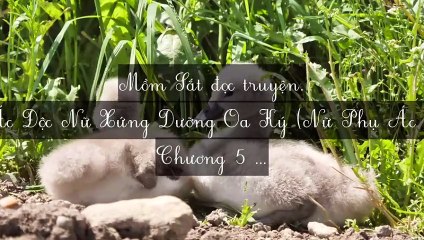 C1-C14 Ác Độc Nữ Xứng Dưỡng Oa Ký (Nữ Phụ Ác Độc Chăm Sóc Con)