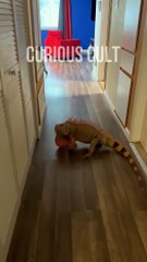 प्यार किया तो डरना क्या 