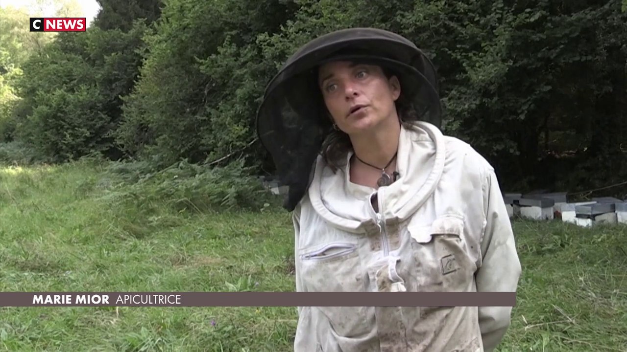La filière française de l'apiculture traverse u...