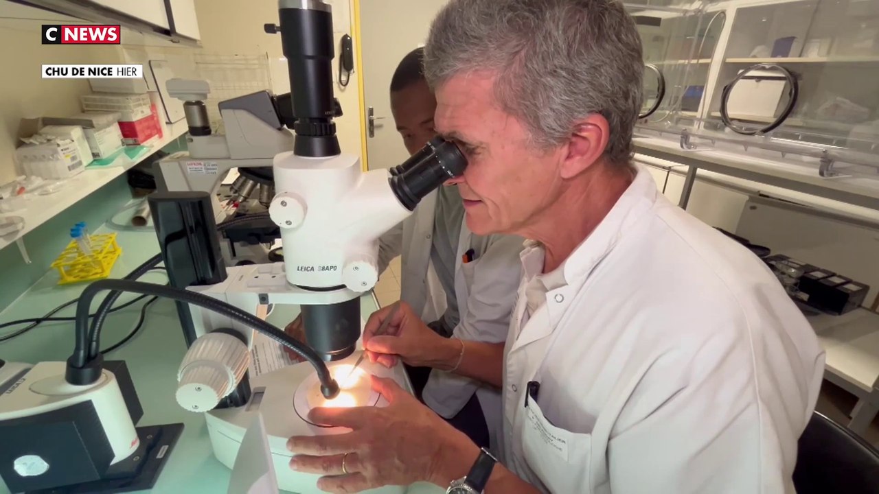 Punaises de lit : des chercheurs niçois ont trouvé une solution pour lutter contre ces parasites