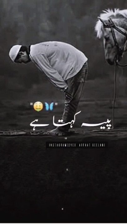 new islamic status | Whatsapp Status | Islamic vedioes