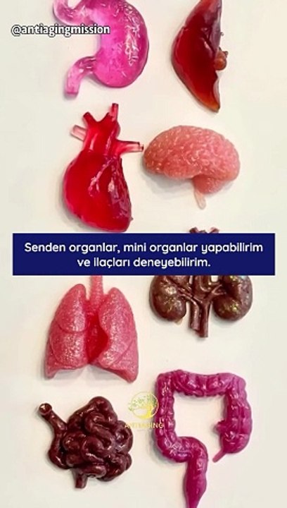 Dr. Sinclair: Yaşlanmayı tersine çevirmeye başladık
