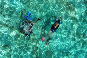 Dalış tutkunları Bodrum’un su altı dünyasını keşfediyor!