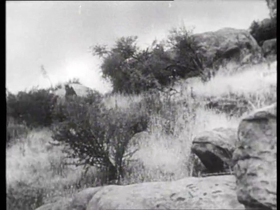 Fury E06-Joes Rivalin