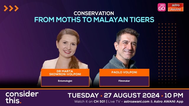 Consider This: Conservation — From Moths to Malayan Tigers