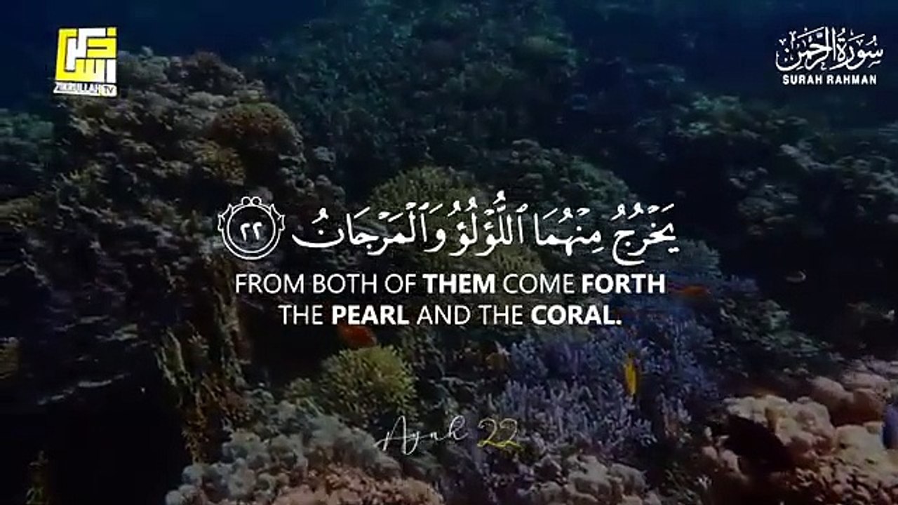 World's most beautiful recitation of Surah Ar-Rahman (سورة الرحمن)  _ Zikrullah TV