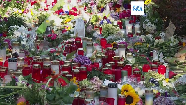 Шольц пообещал ужесточить законы о применении холодного оружия