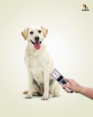 Cat & Dog Clippers With Hair Trimmer Kit  Best Professional Grooming Kit For Pets