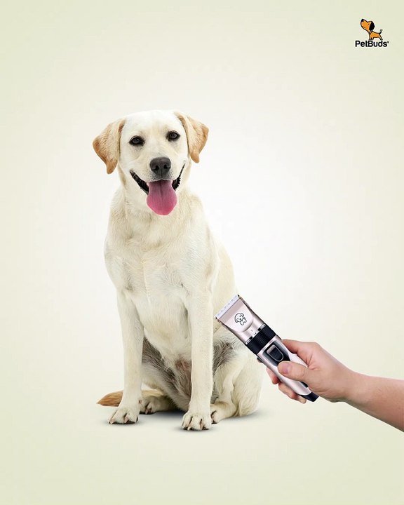 Cat & Dog Clippers With Hair Trimmer Kit  Best Professional Grooming Kit For Pets