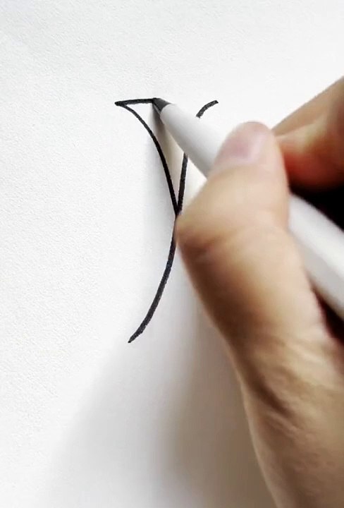 How to draw fly/ bug ?