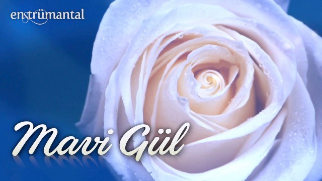 MAVİ GÜL ♫ Duygusal Fon Müziği (Enstrümantal Ney Sesi)