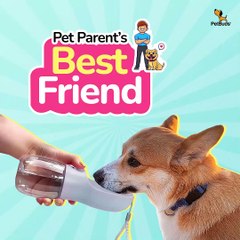 Leak Proof Dog Water  Bottle  With Portable  Food &  Poop Bag Dispenser