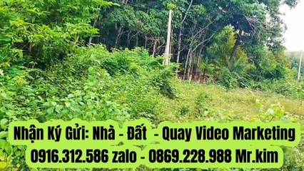 Đất Dầu Tiếng | bán gấp 5 xào sầu riêng nhựa ĐT 750 giá rẽ #577