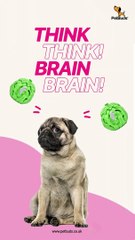 Challenge your furry friend's nogging with our interactive toys!   Spark some paws-itive thinking with PetBuds' brainy playtime collection. Keep those tails wagging and brains buzzing!   Fetch them at www.petbuds.c