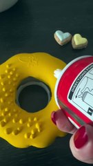 PetBuds Indestructible Dog Toys Doughnut Shape  Donut Dog Toy UK