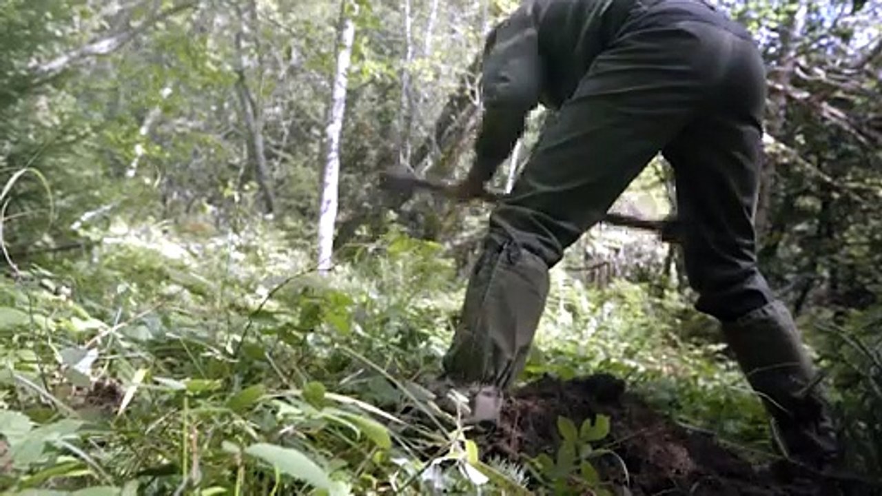 IGN-Film_agent_de_terrain_forestier