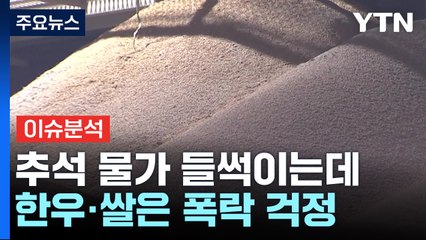 [경제PICK] 추석 물가 들썩이는데...한우·쌀은 폭락 걱정 / YTN