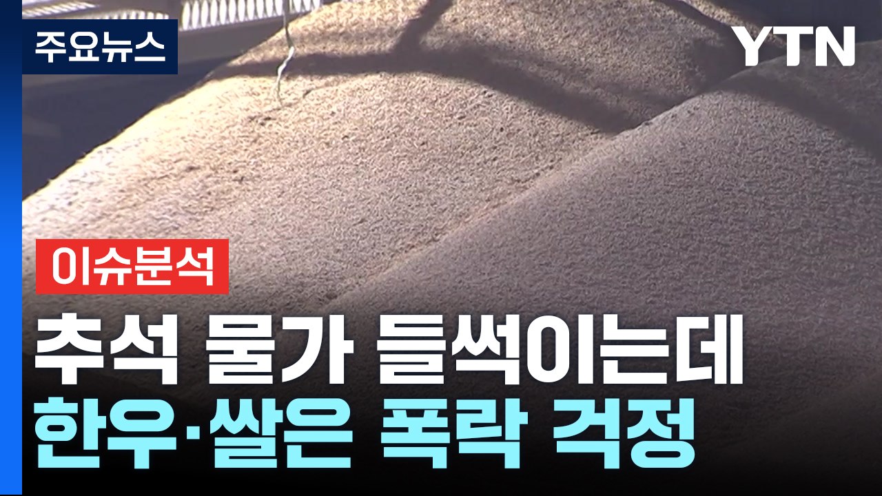 [경제PICK] 추석 물가 들썩이는데...한우·쌀은 폭락 걱정 / YTN