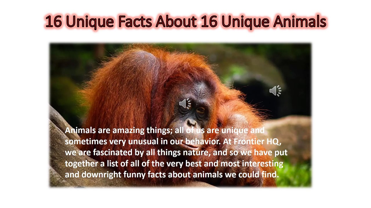 16 Unique Facts About 16 Unique Animals