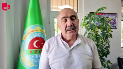 Gölköy Barajı’nda su seviyesi yüzde 35’e düştü, tarımsal sulama durduruldu