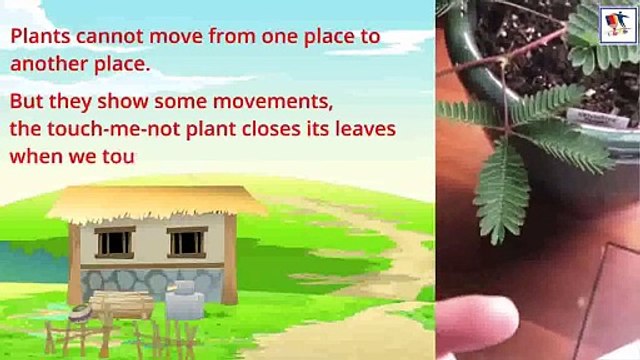 Living And Non-Living Things - 2