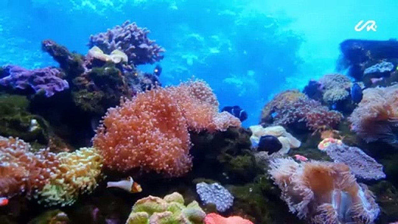 This is how I felt when I discovered paradise…  THE RED SEA Project, Saudi