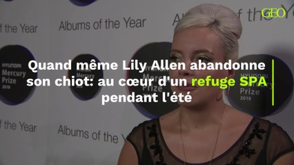 Quand même Lily Allen abandonne son chiot: au cœur d'un refuge SPA pendant l'été