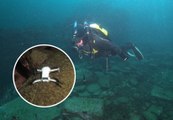 Caithness Diving Club find lost drone