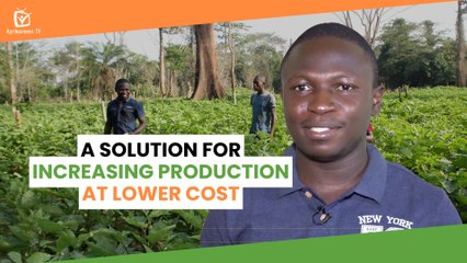 Côte d'Ivoire: A solution for increasing production at lower cost