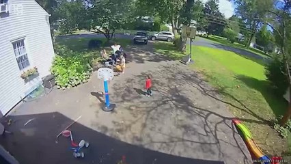 Una cámara graba como una familia huye asustada cuando un oso llega a su jardín