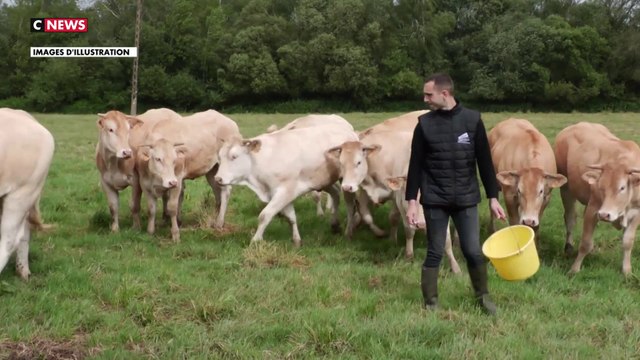 Agriculture : la FNSEA dépose un projet de loi